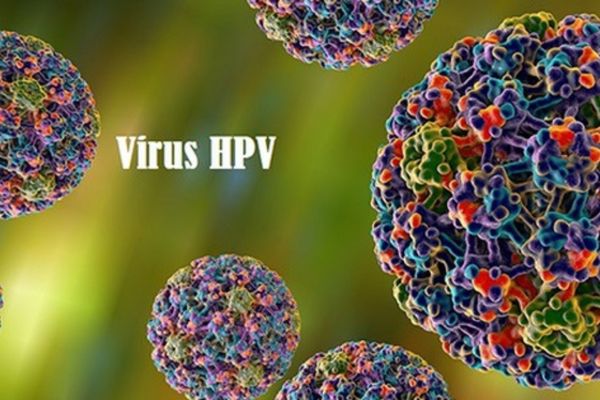 Virus HPV là tác nhân chính gây ra bệnh sùi mào gà