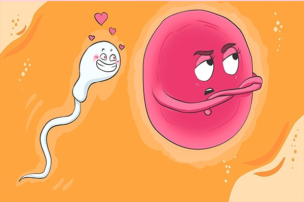 Tinh trùng có thể chui qua màng trinh và gây thụ thai gây cả khi chưa mất trinh