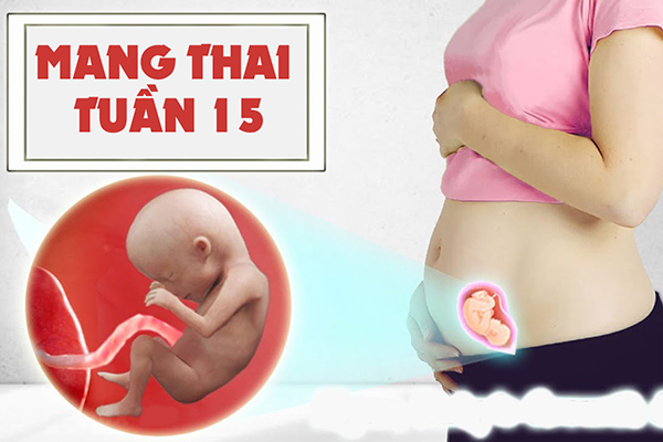 Thai nhi ở tuần tuổi thứ 15 gần như đã phát triển hoàn thiện (ảnh minh họa)