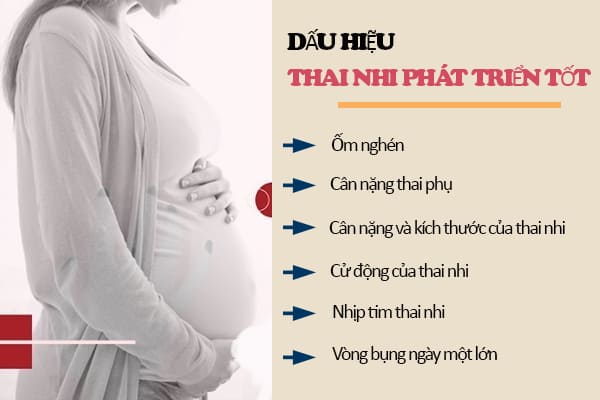 6 dấu hiệu thai nhi phát triển tốt trong bụng mẹ