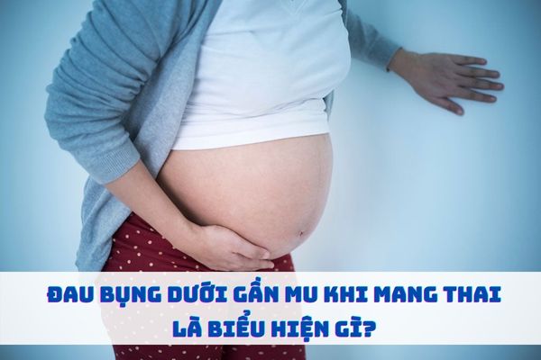Đau bụng dưới gần mu khi mang thai là biểu hiện gì? Có nguy hiểm không?