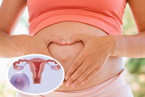 Đau bụng dưới có thể do thai nhi làm tổ trong tử cung