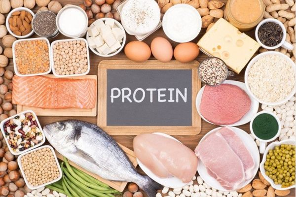 Các loại thực phẩm chứa protein giúp tái tạo máu hiệu quả