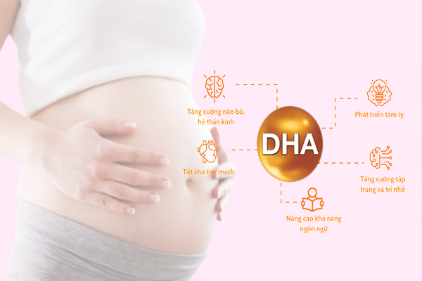 Dưỡng chất DHA rất cần thiết, rất tốt với mẹ bầu và thai nhi