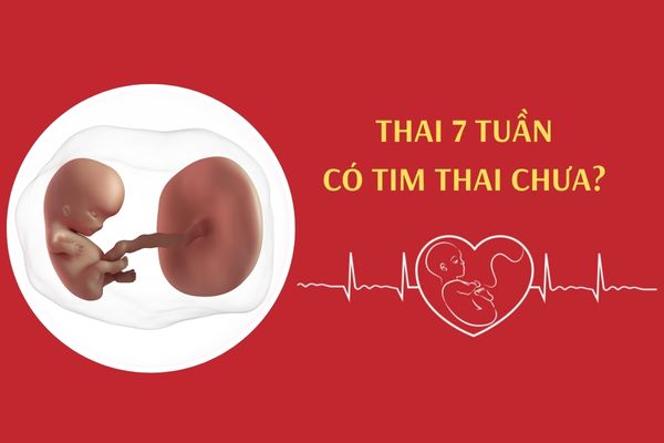 Thai 7 tuần tuổi đã hình thành tim thai